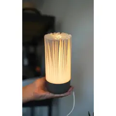 GENERICO - Lámpara de Mesa LED USB 20 cm – Diseño Orgánico Minimalista Impresa en 3D