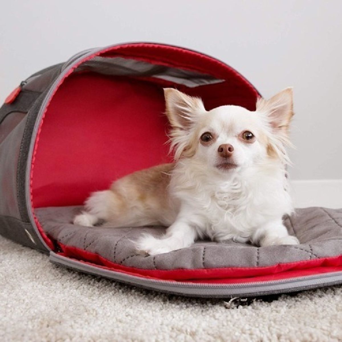GENERICO - Kong 2-in-1 Pet Carrier & Travel Mat Bolso Transportador
