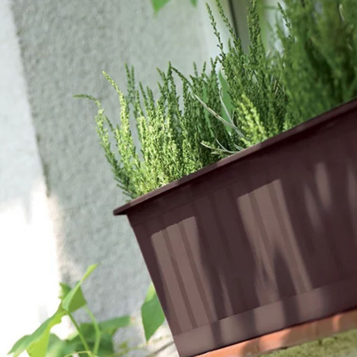 STERN - Jardinera rectangular Agro 100 x 18 cm terracota