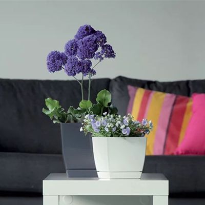 Imagen 2 del producto Macetero cuadrado New Coubi 24 x 24 cm café con leche