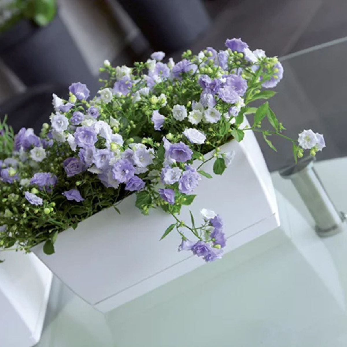 STERN - Jardinera rectangular New Coubi 39 cm x 19 cm verde oliva