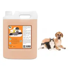 MASCOKITS - Pack 2 Shampoo De Matico Orgánico 5 Lts Para Perros Mascotas