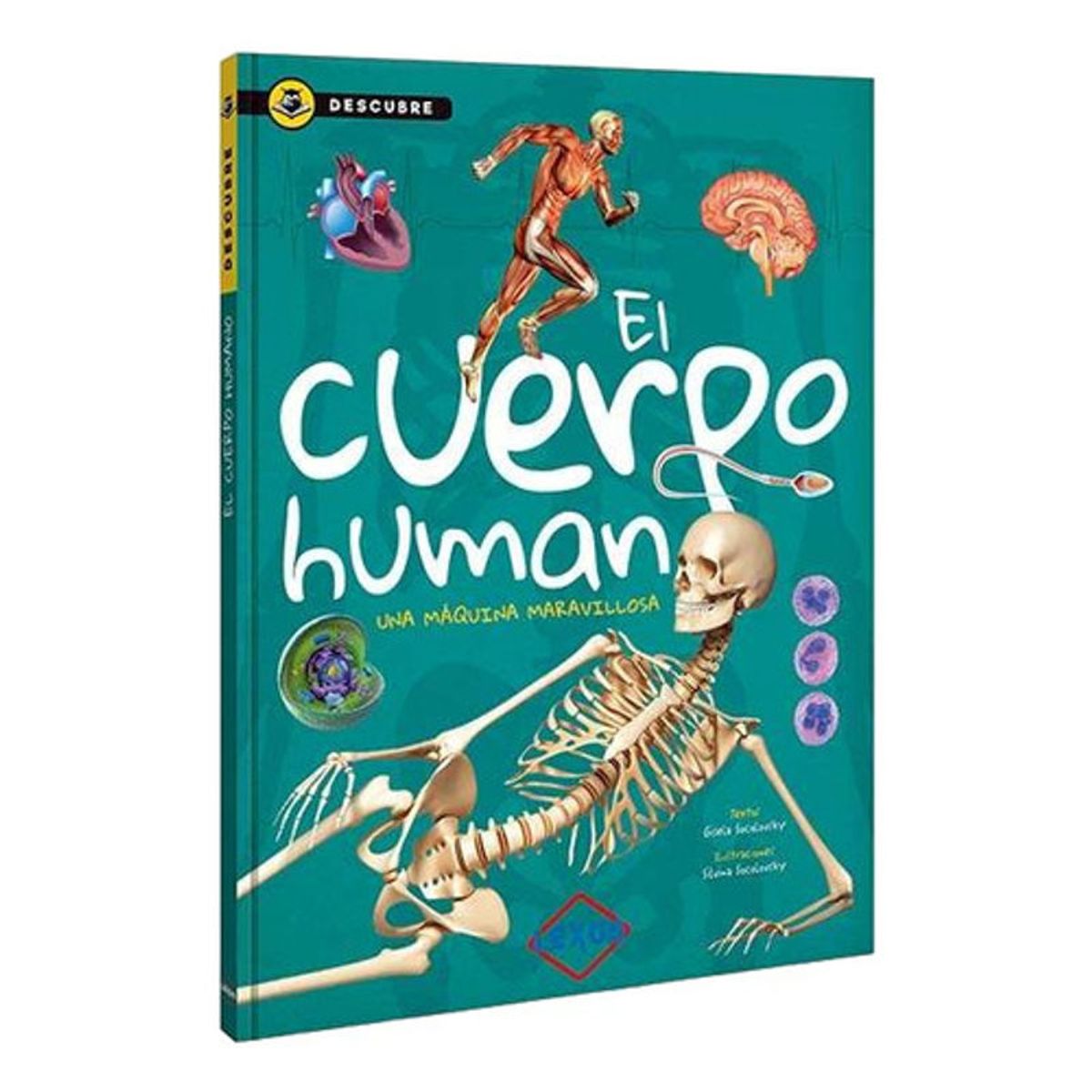 GENERICO - El Cuerpo Humano - Descubre - Lexus