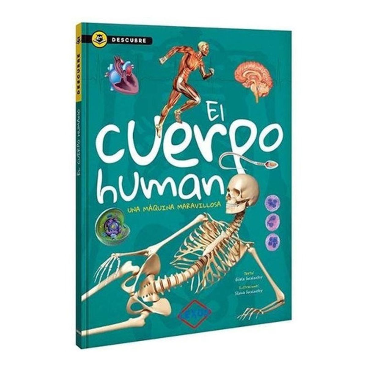 GENERICO - El Cuerpo Humano - Descubre - Lexus