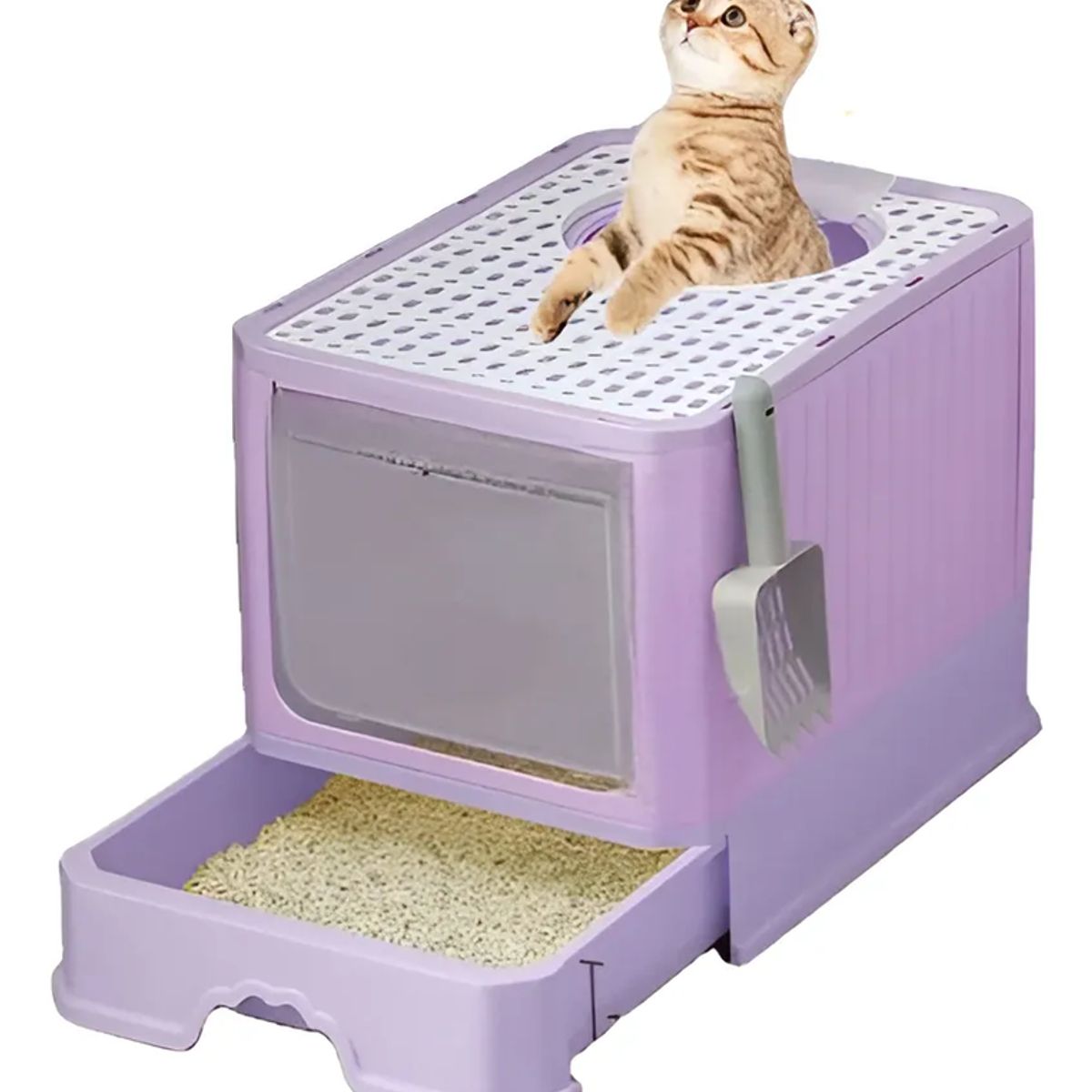 GENERICO - Arenero Bandeja Sanitaria Grande Gato Cerrado Filtro Y Pala Lila