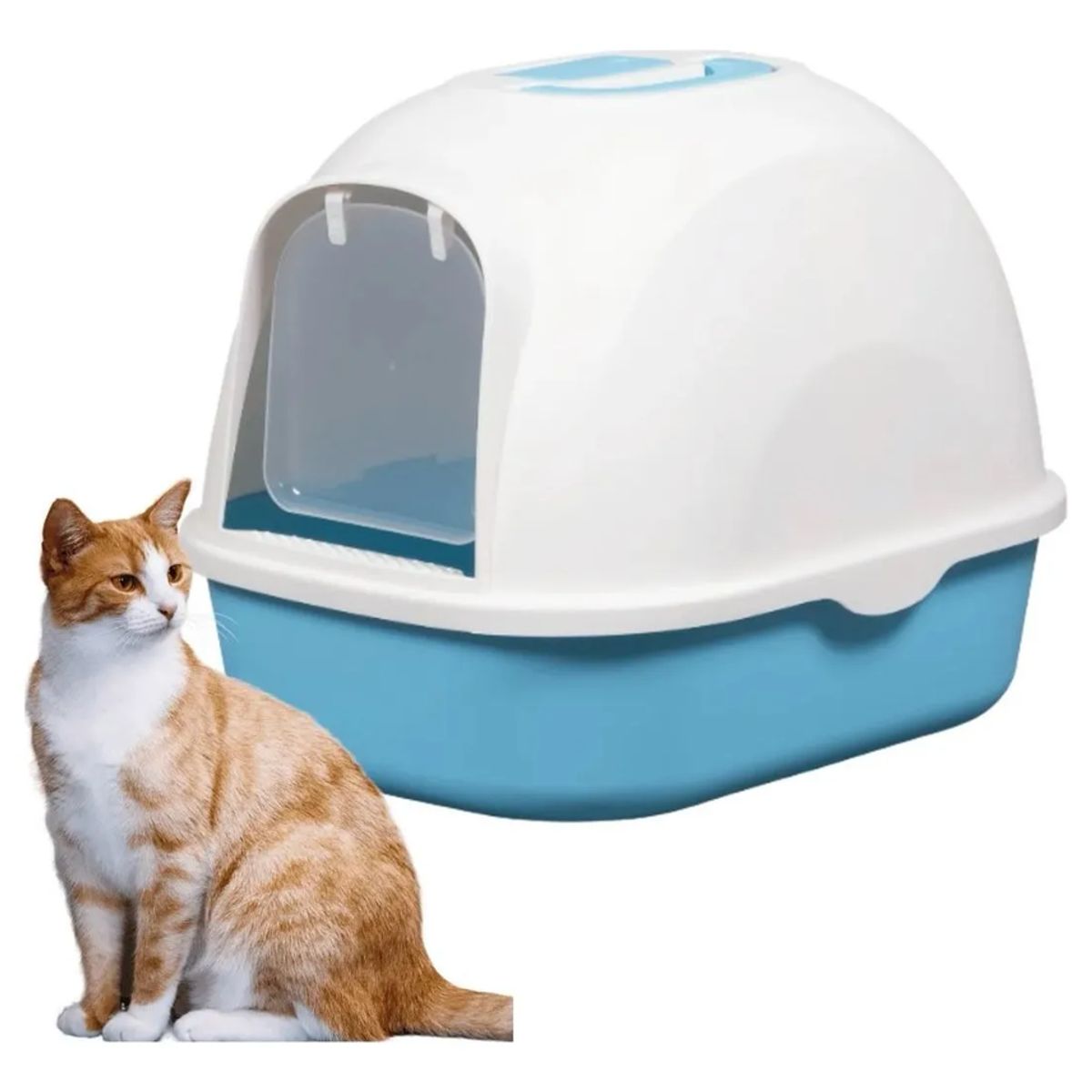 GENERICO - Arenero Para Gatos Grande Cerrado Con Pala Filtro Y Puerta Celeste