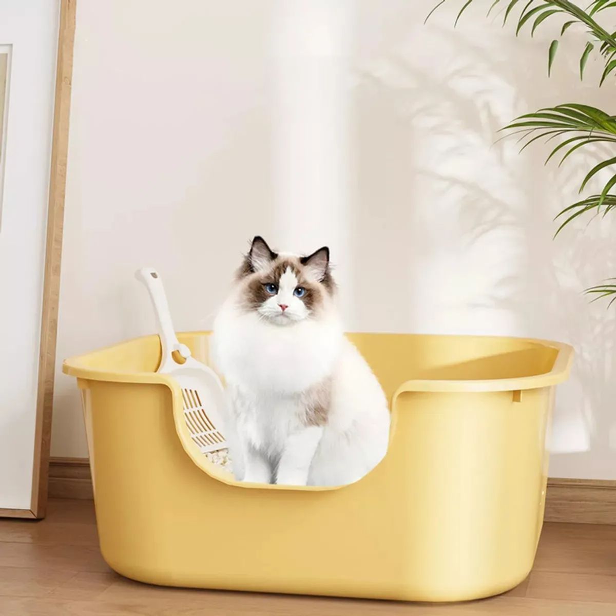GENERICO - Baño Sanitario Anti-hongo Xl Previene Derrame De Arena Gato Amarillo
