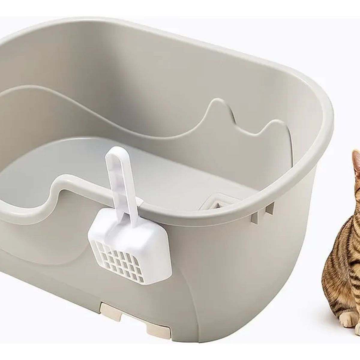 GENERICO - Arenero Caja Sanitaria Baño Para Mascotas Abierto Verde