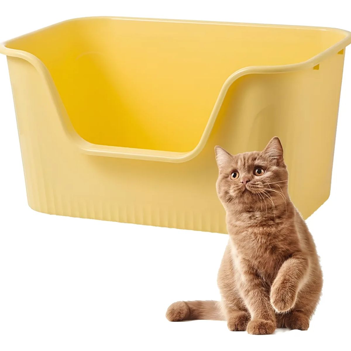 GENERICO - Arenero Abierto Mediano Genérica Para Gatos Con Pala