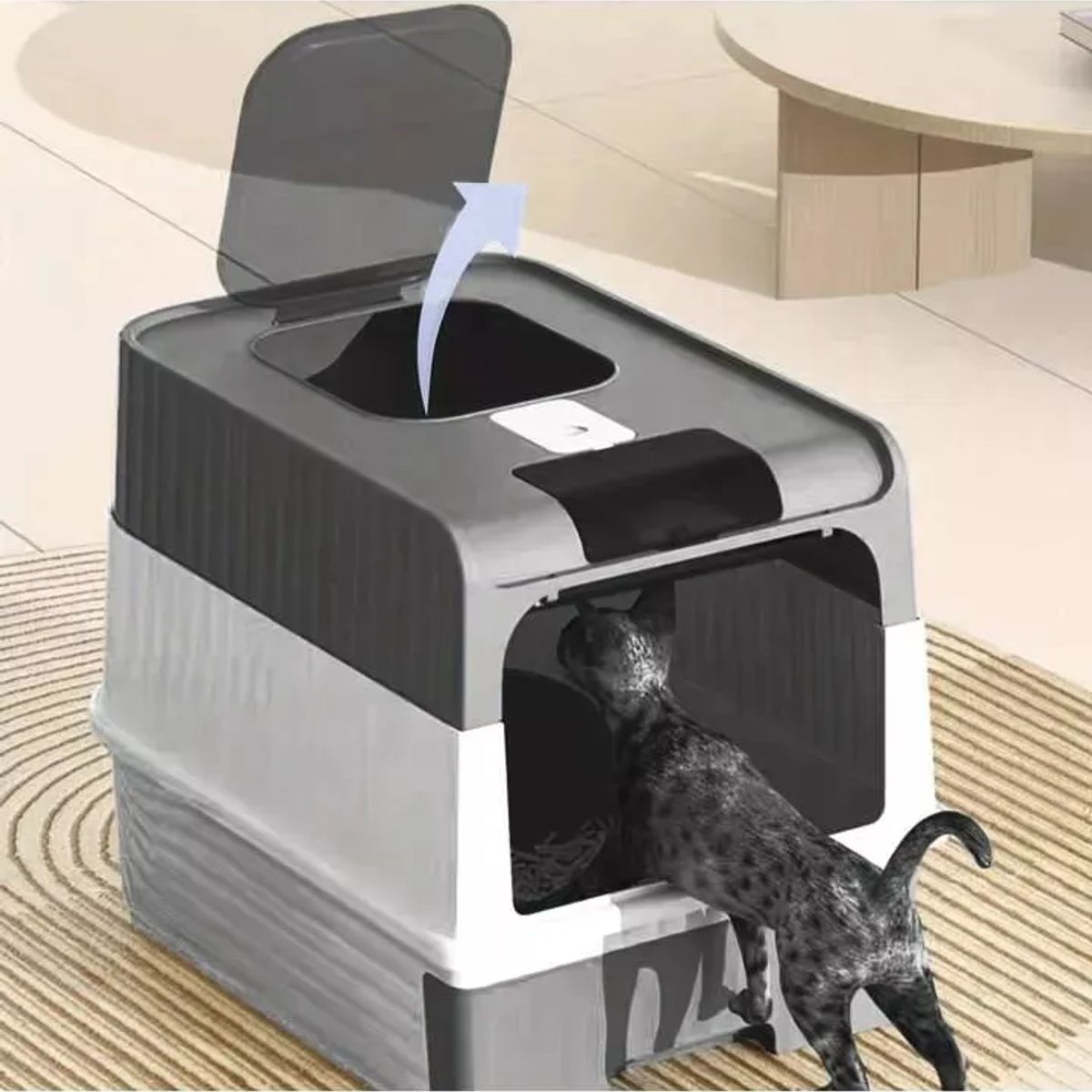 GENERICO - Arenero Sanitario Cerrado Grande Para Gatos + Pala