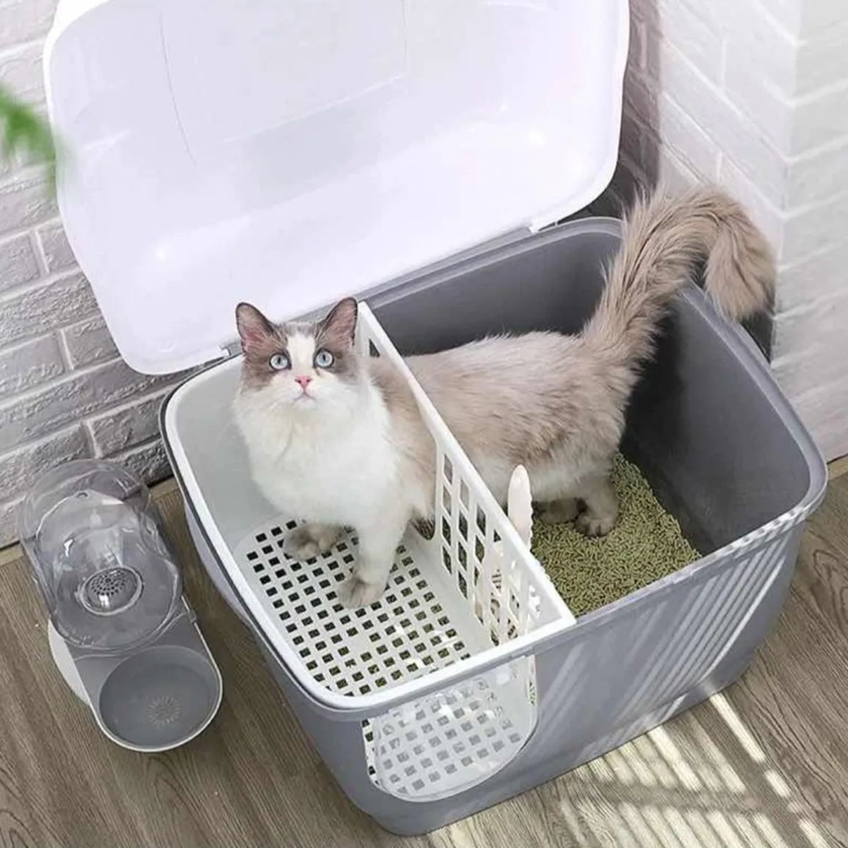GENERICO - Arenero Moderno De Entrenamiento Para Gatos - Baño Sanitario