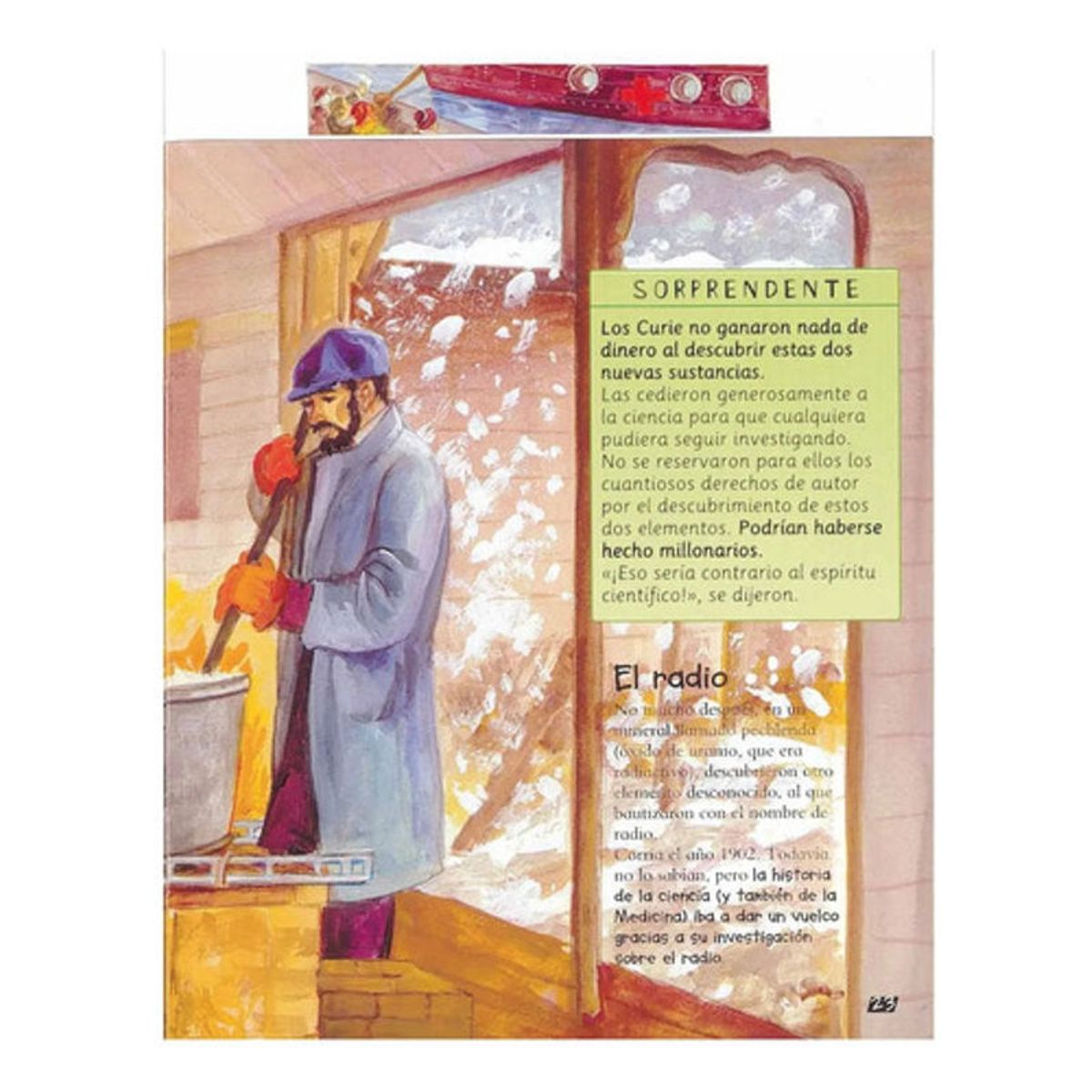 GENERICO - Libro Marie Curie La Gran Cientifica - Minibiografia - Lexus