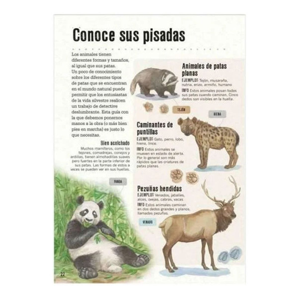 GENERICO - Libro La Pista Esta En La Caca Y En Otras Cosas - Lexus