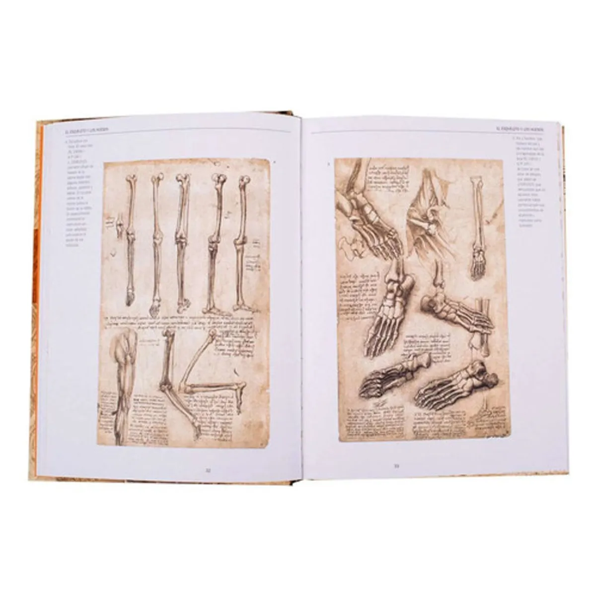 GENERICO - Libro Leonardo Anatomia Y Vuelo - Lexus - Nuevo Y Original