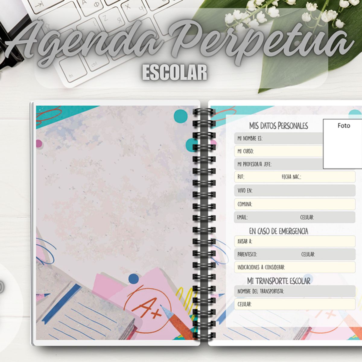 GENERICO - Agenda Escolar Perpetua A5 Planner Anillada Cuaderno