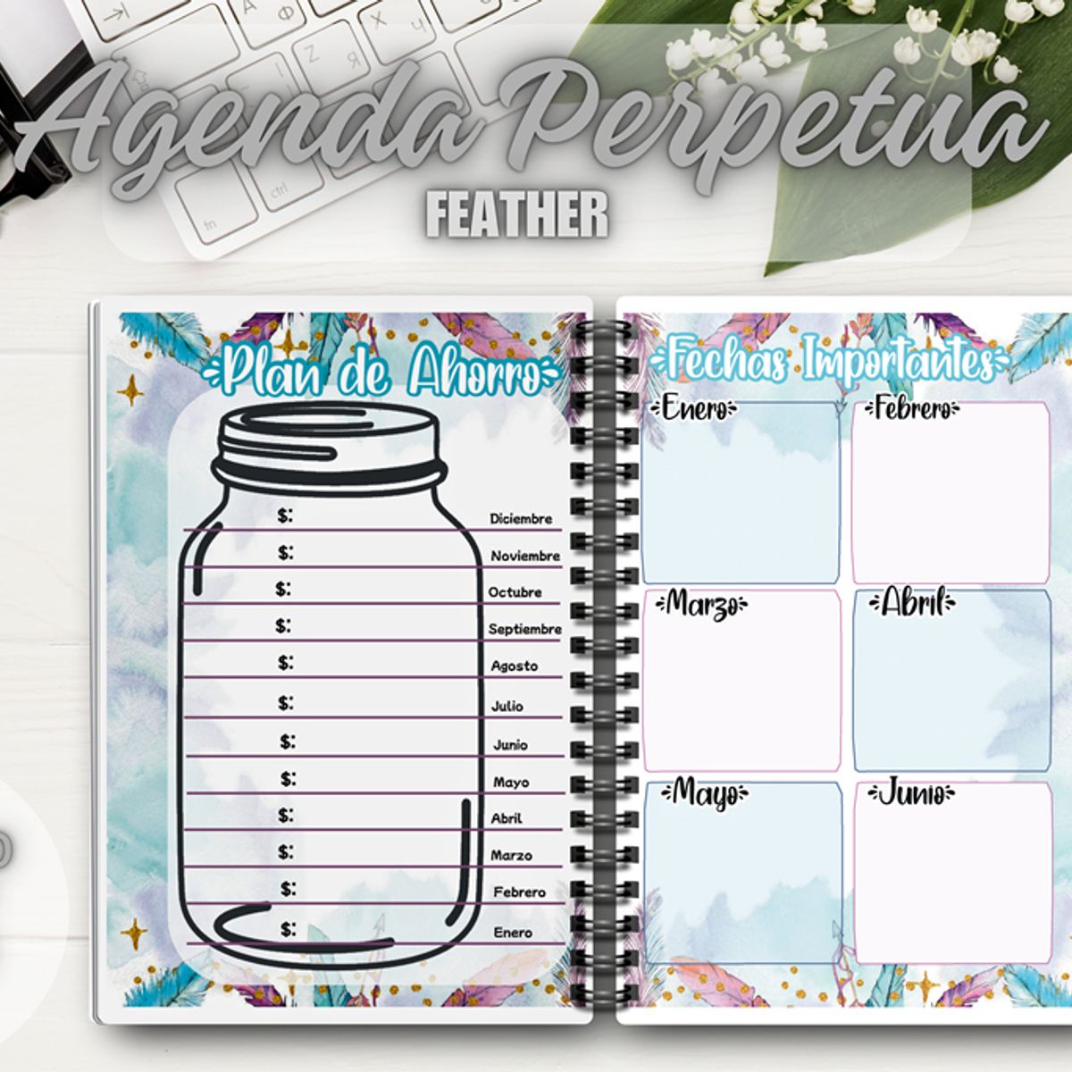 GENERICO - Agenda Feather Perpetua Sin Fecha Planner Financiero