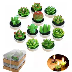 EINICIO - Juego de 12 Velas de Cactus Suculentas para Regalo