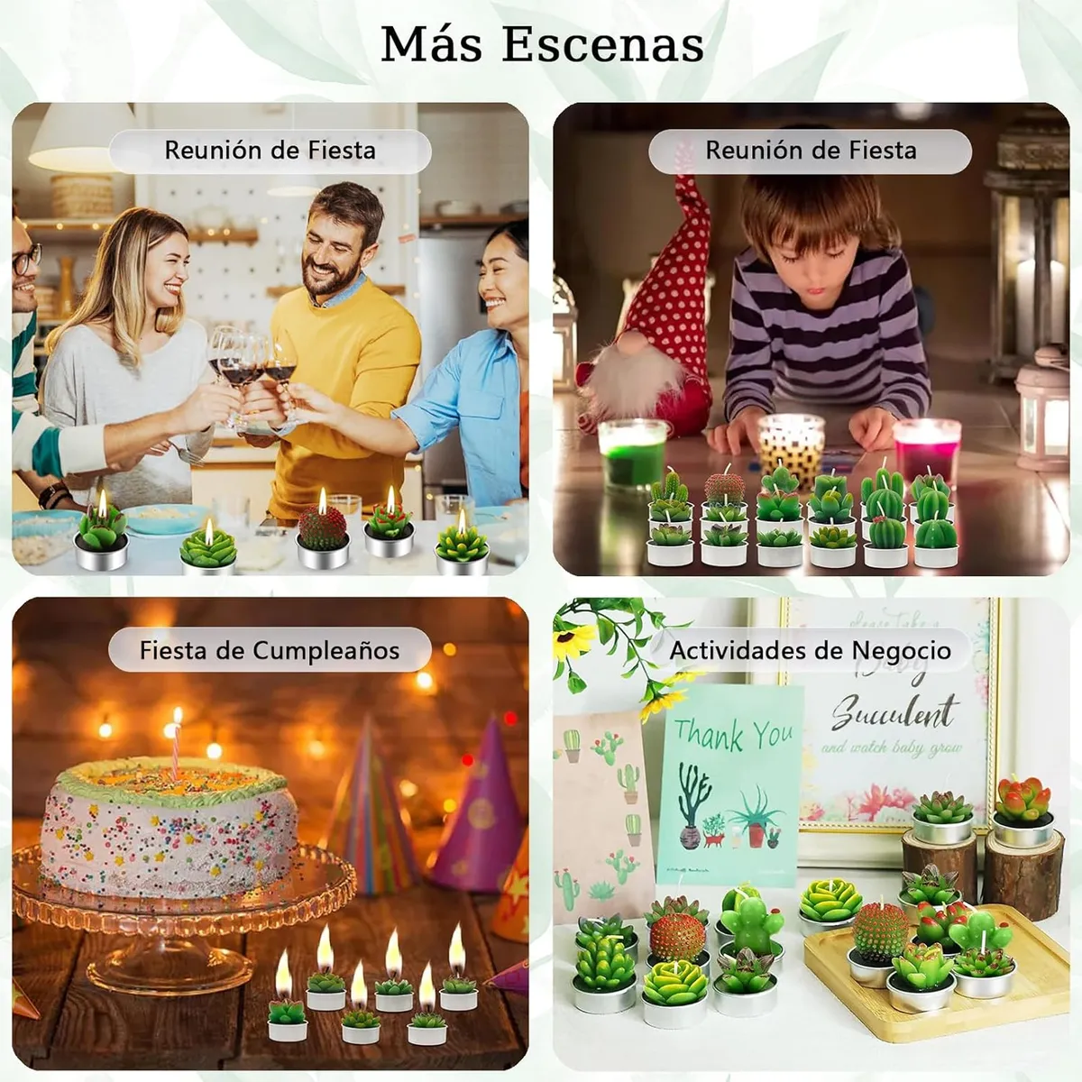 EINICIO - Juego de 12 Velas de Cactus Suculentas para Regalo