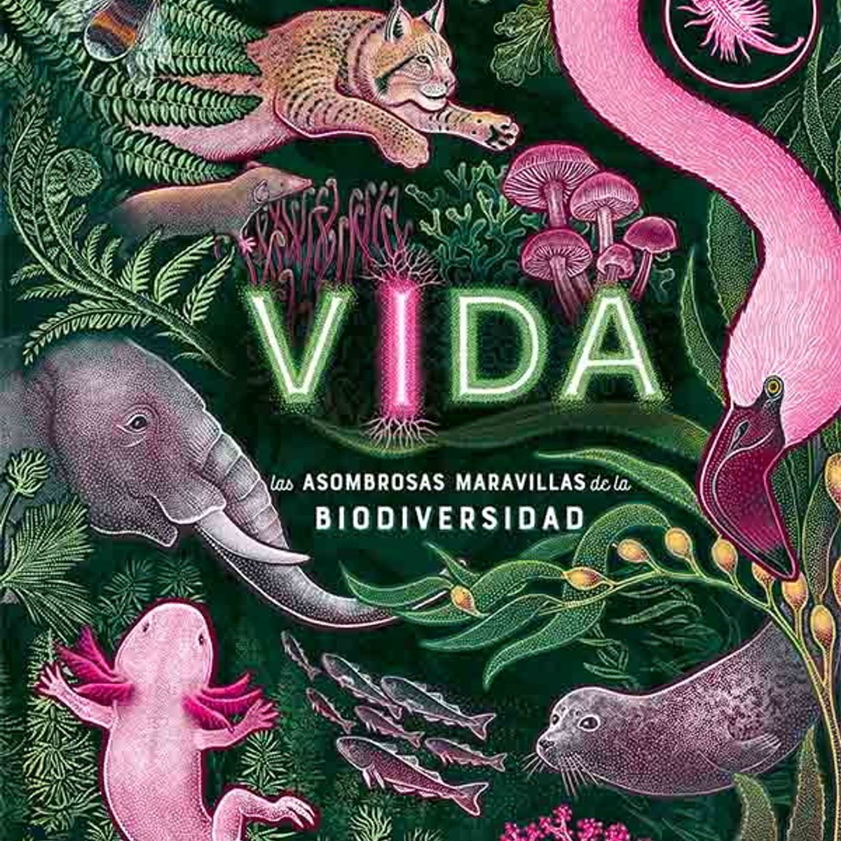 ANTARTICA LIBROS - Vida