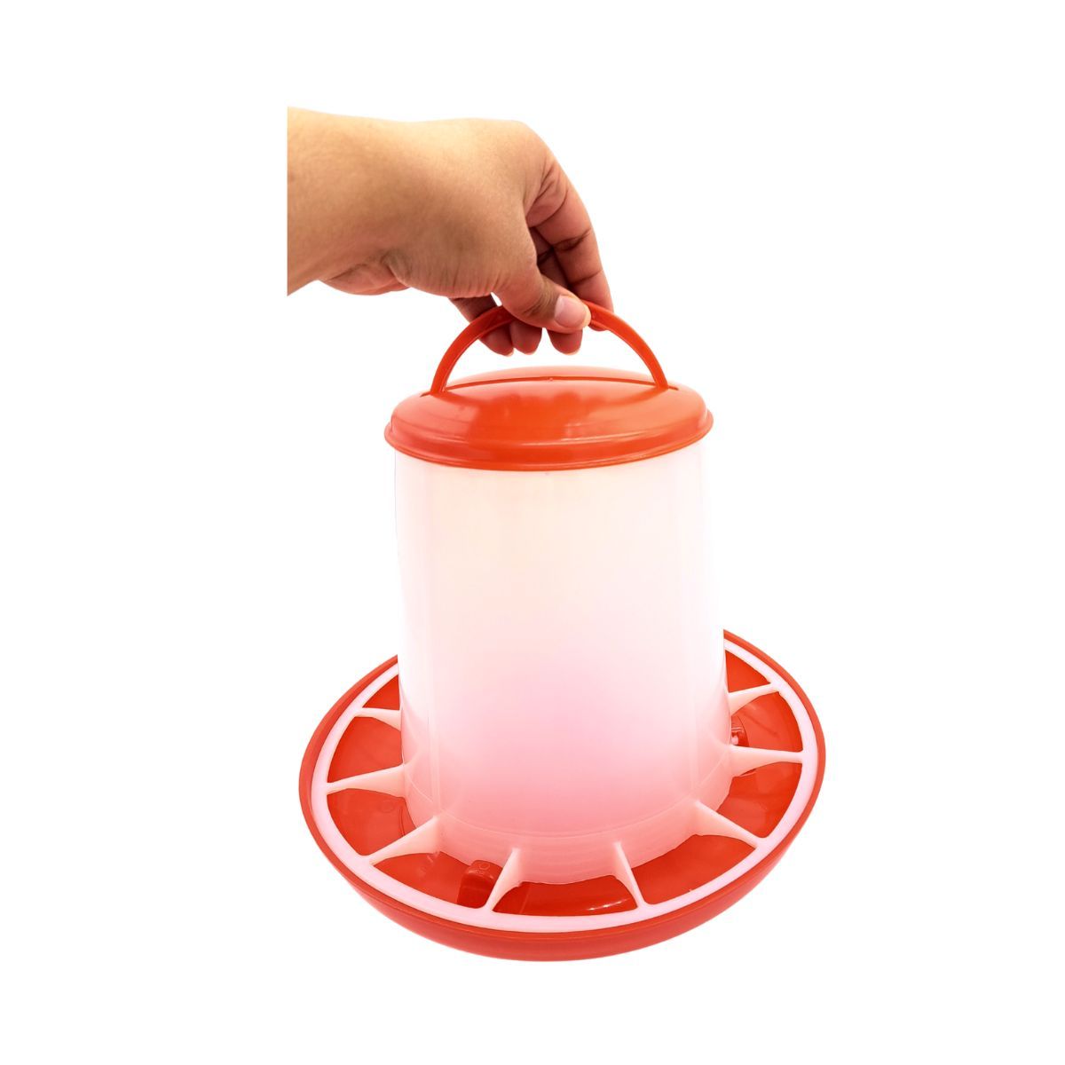 GENERICO - Pack x 5und Comederos Para Gallinas 1.5 kg Aves de Corral