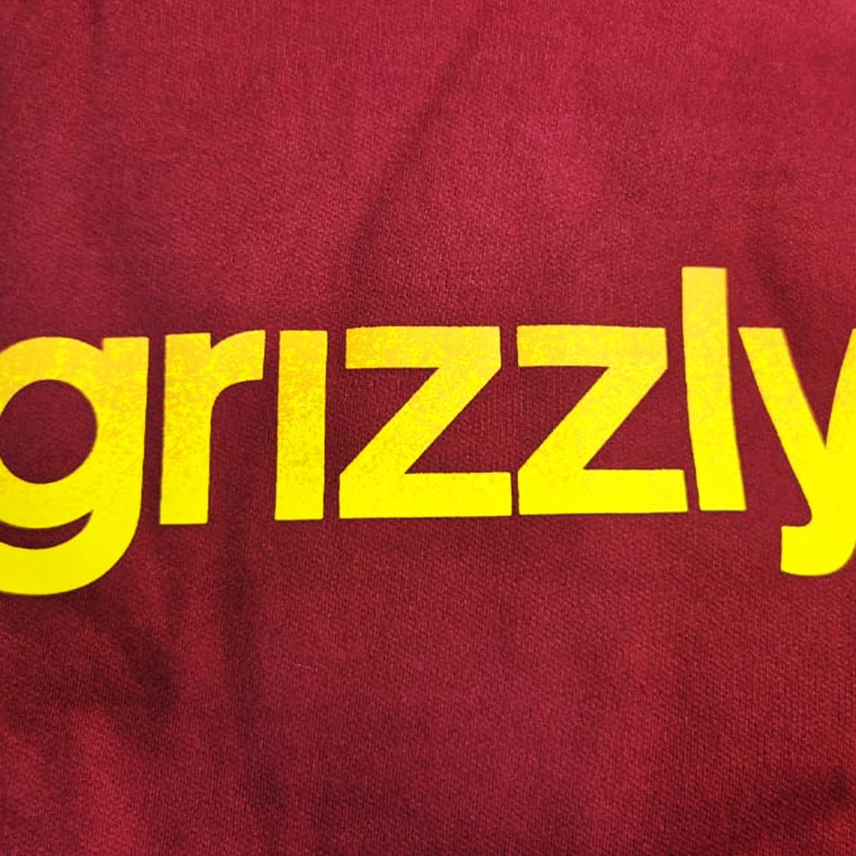 GRIZZLY - Poleron Hoodie Hombre Grizzly Griptape Lowercase Fadeaway Burdeo