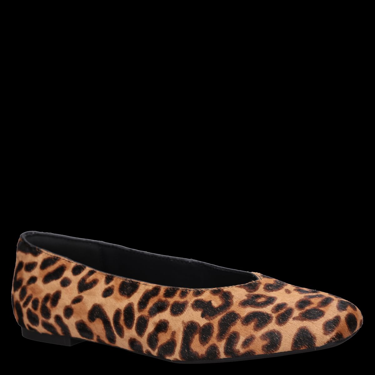 ZAPPA - Ballerina Mujer Casual Marrón Zappa