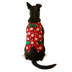 GENERICO - Disfraz Traje navideño para Perros y Gatos Duende 4XL
