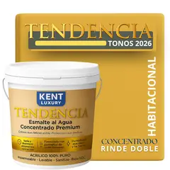 KENT - PINTURA ESMALTE AGUA CONCRENTRADO TENDENDIA - MATE - TINETA 10L DONINI