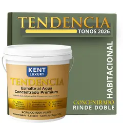 KENT - PINTURA ESMALTE AGUA CONCRENTRADO TENDENDIA - MATE - TINETA 10L PALM DESERT