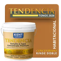 KENT - PINTURA ESMALTE AGUA CONCRENTRADO TENDENDIA - MATE - TINETA 10L PIETÁ