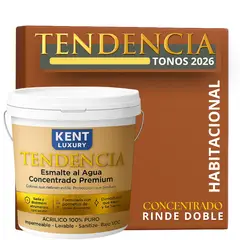 KENT - PINTURA ESMALTE AGUA CONCRENTRADO TENDENDIA - MATE - TINETA 10L TERRACOTTA RUST