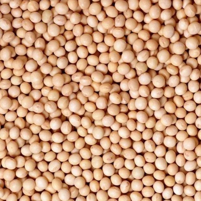 GENERICO - Poroto De Soya  Soja 5kg Argentina