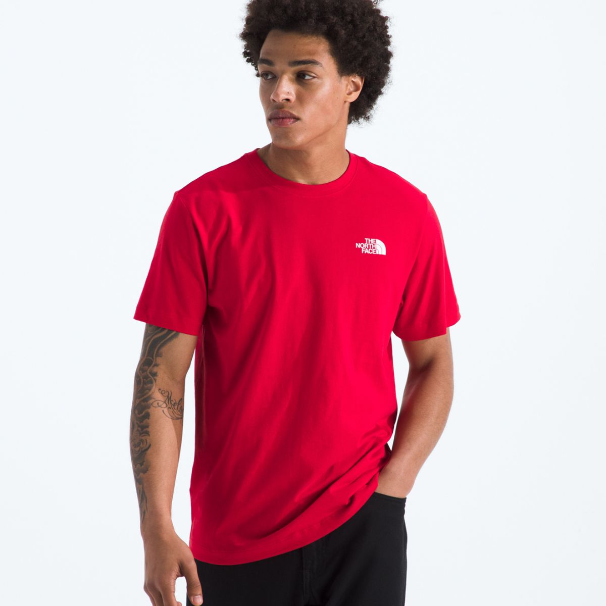 THE NORTH FACE - Polera S/S Box Nse Hombre