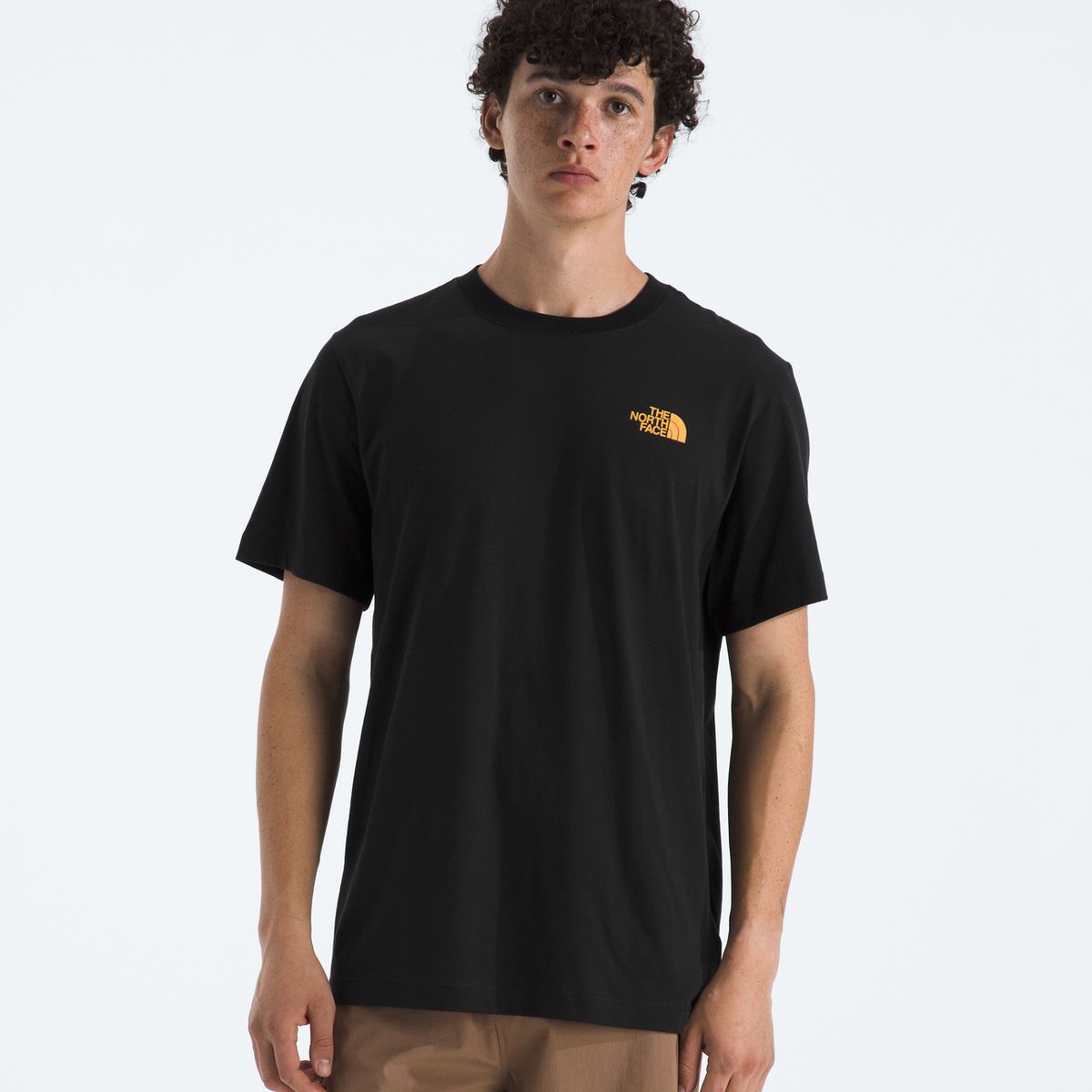 THE NORTH FACE - Polera Evo Tent Short Sleeve Tee- Graphic Hombre