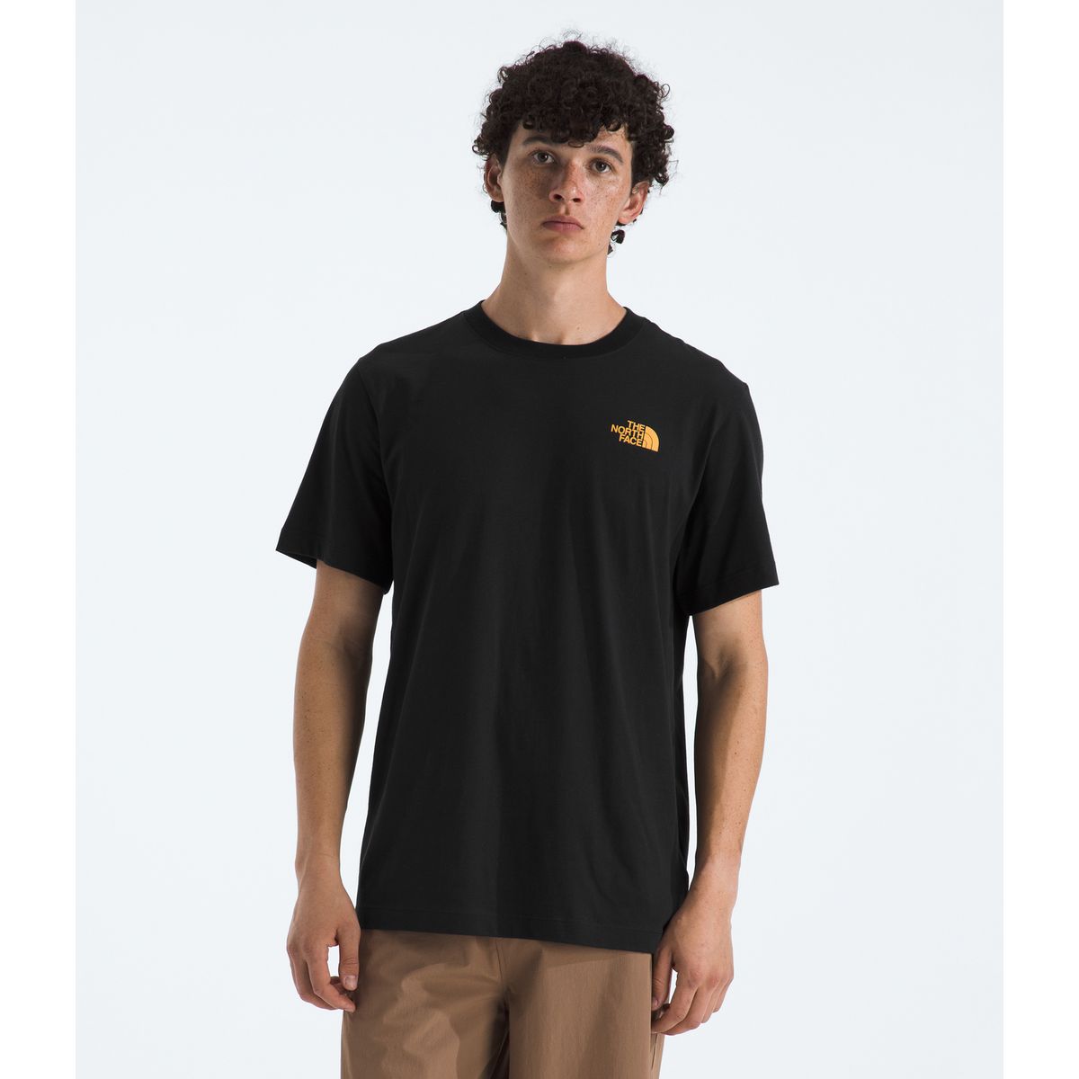 THE NORTH FACE - Polera Evo Tent Short Sleeve Tee- Graphic Hombre