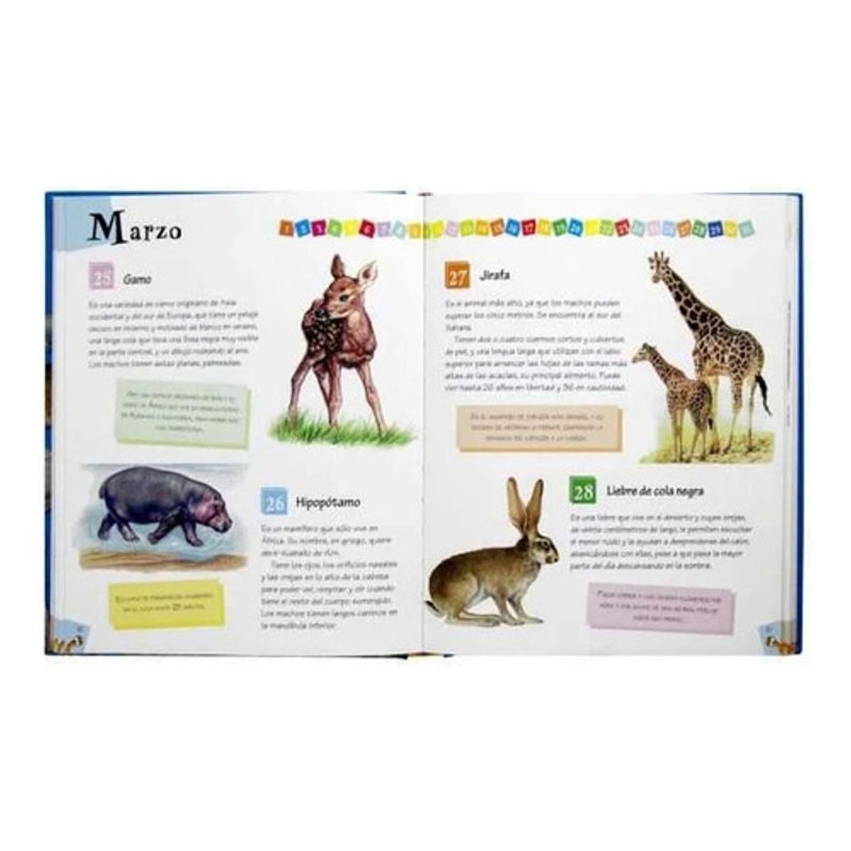GENERICO - Libro 365 Curiosidades De Animales - Lee Cada Dia - Lexus