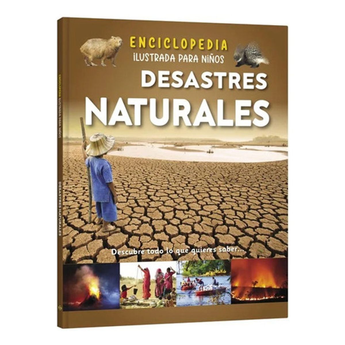 GENERICO - Enciclopedia Ilustrada Para Niños Desastres Naturales Lexus