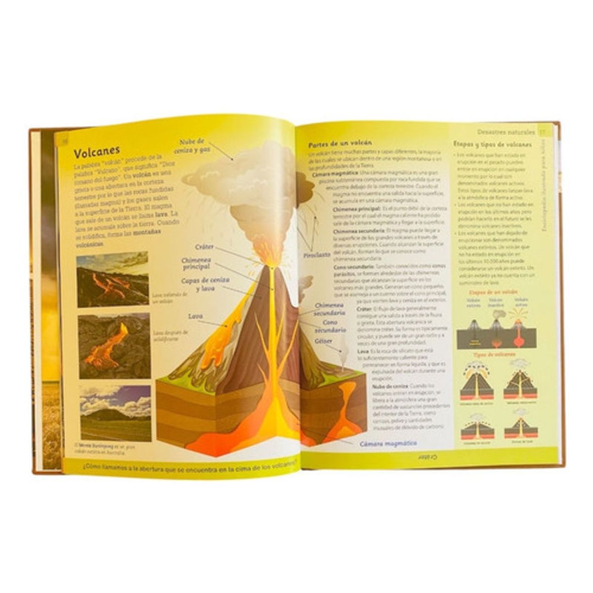 GENERICO - Enciclopedia Ilustrada Para Niños Desastres Naturales Lexus