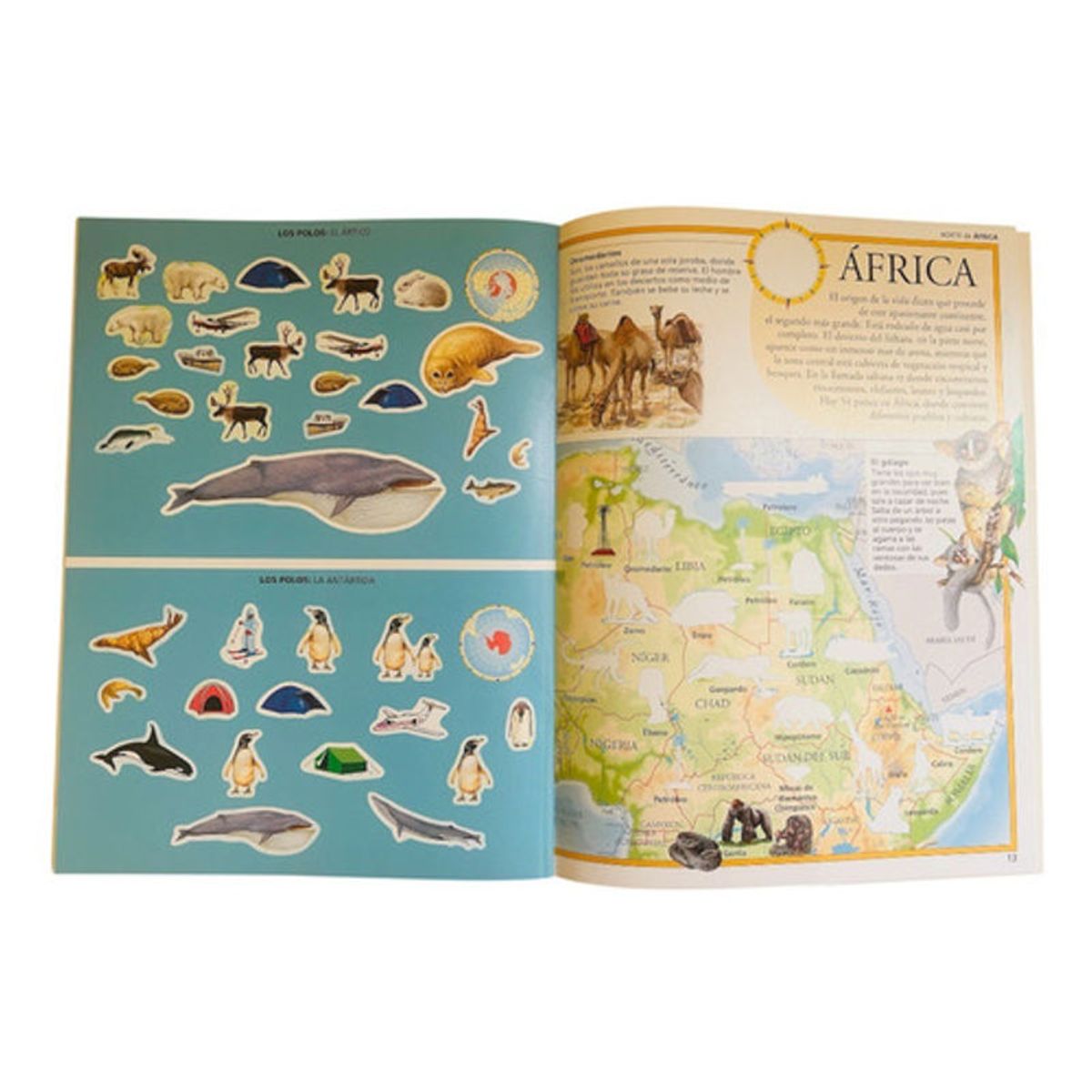 GENERICO - Atlas De Animales Del Mundo Con Pegatinas - Lexus Nuevo Orig