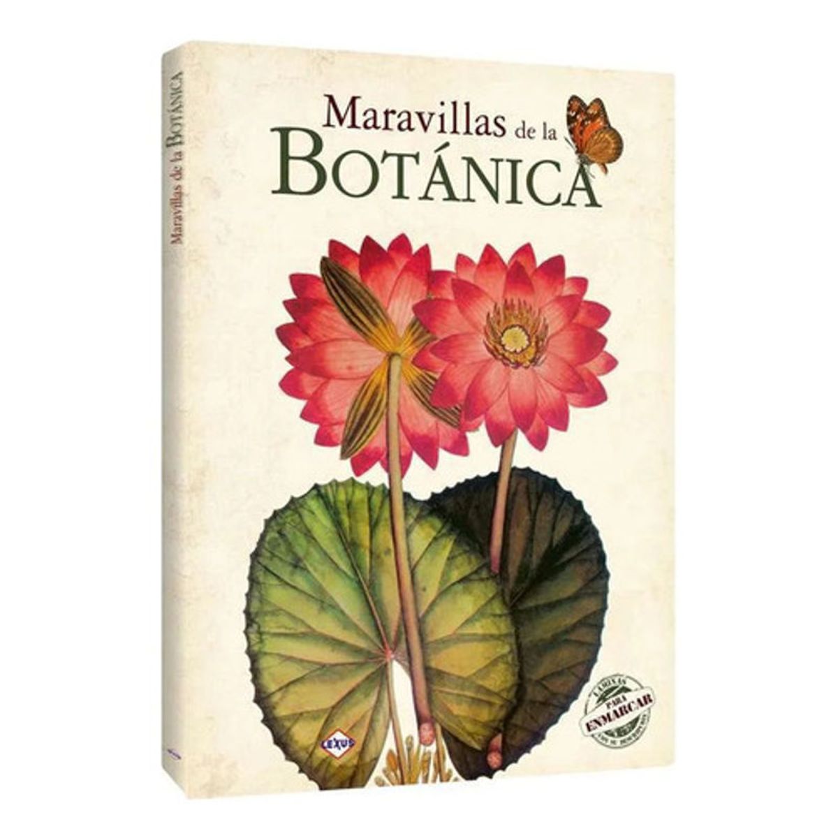 GENERICO - Libro Maravillas De La Botanica - Lexus - Laminas Penmarcar