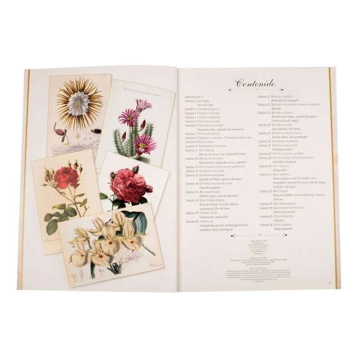 GENERICO - Libro Maravillas De La Botanica - Lexus - Laminas Penmarcar