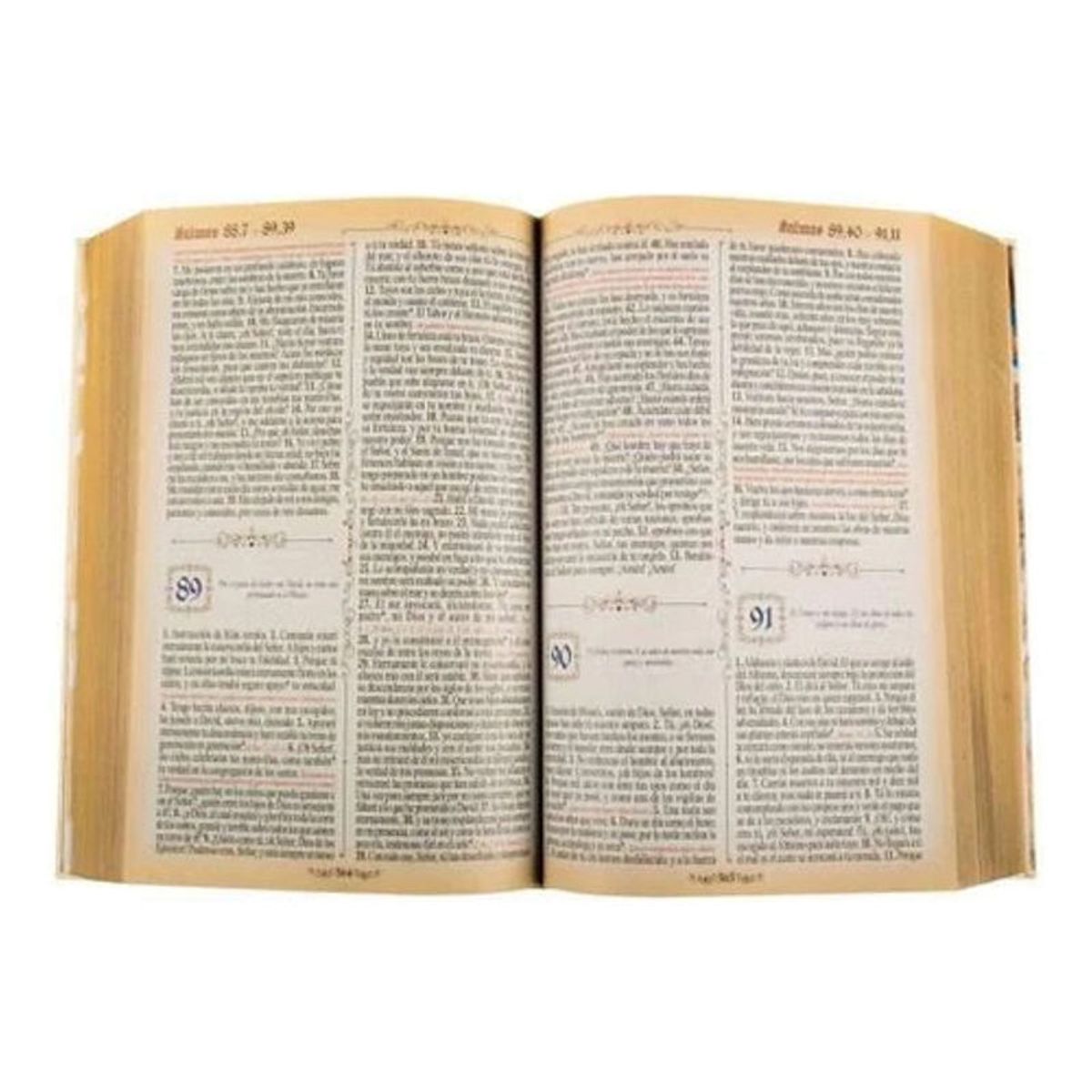 GENERICO - Sagrada Biblia Dorada Grande - Nuevo Y Original - Lexus
