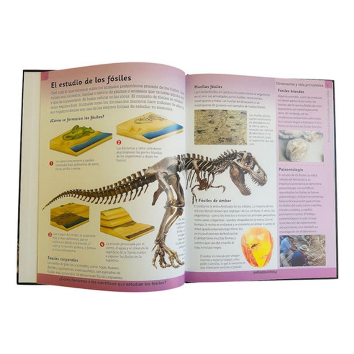 GENERICO - Enciclopedia Ilustrada Para Niños Dinosaurios Y Vida Prehist