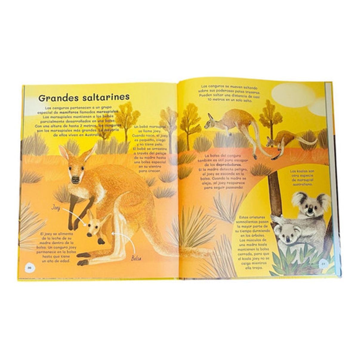 GENERICO - Libro Todo Sobre Animales - Lexus Tapa Dura Nuevo Y Original