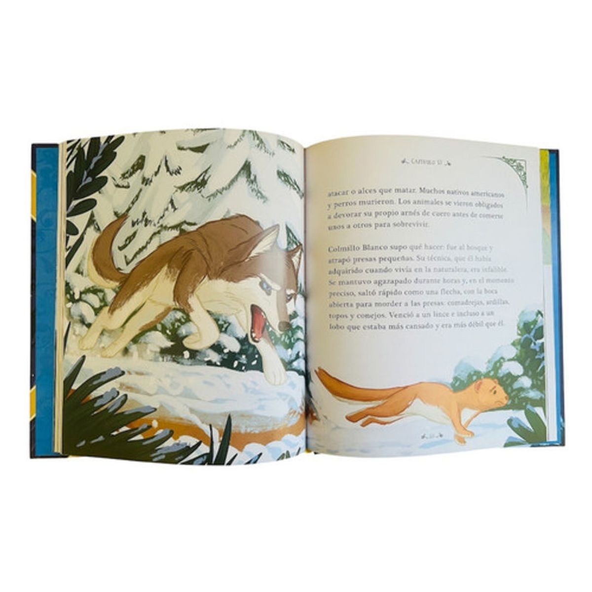 GENERICO - Libro Colmillo Blanco Ilustrado- Clasicos Juveniles - Lexus