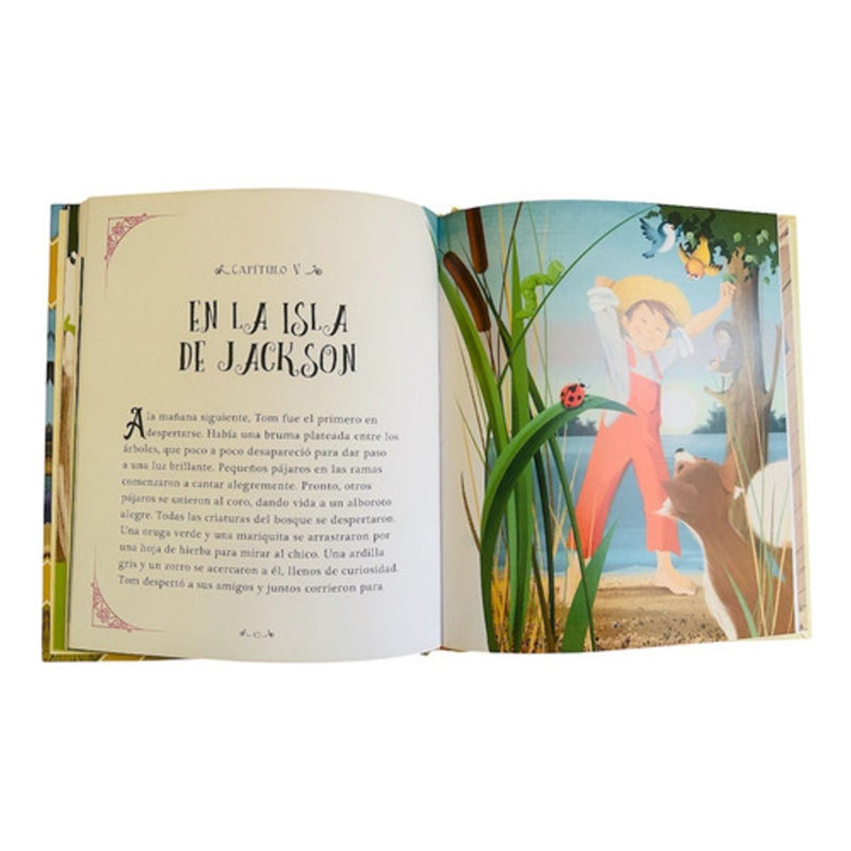 GENERICO - Libro Las Aventuras De Tom Sawyer Ilustrado Clasico Juvenil