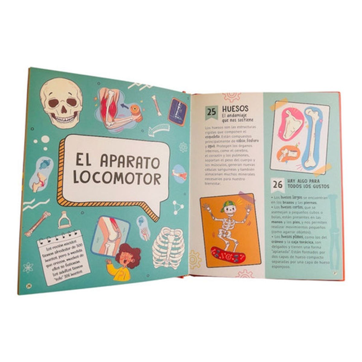 GENERICO - Libro 101 Curiosidades Sobre El Cuerpo Humano - Lexus Tdura