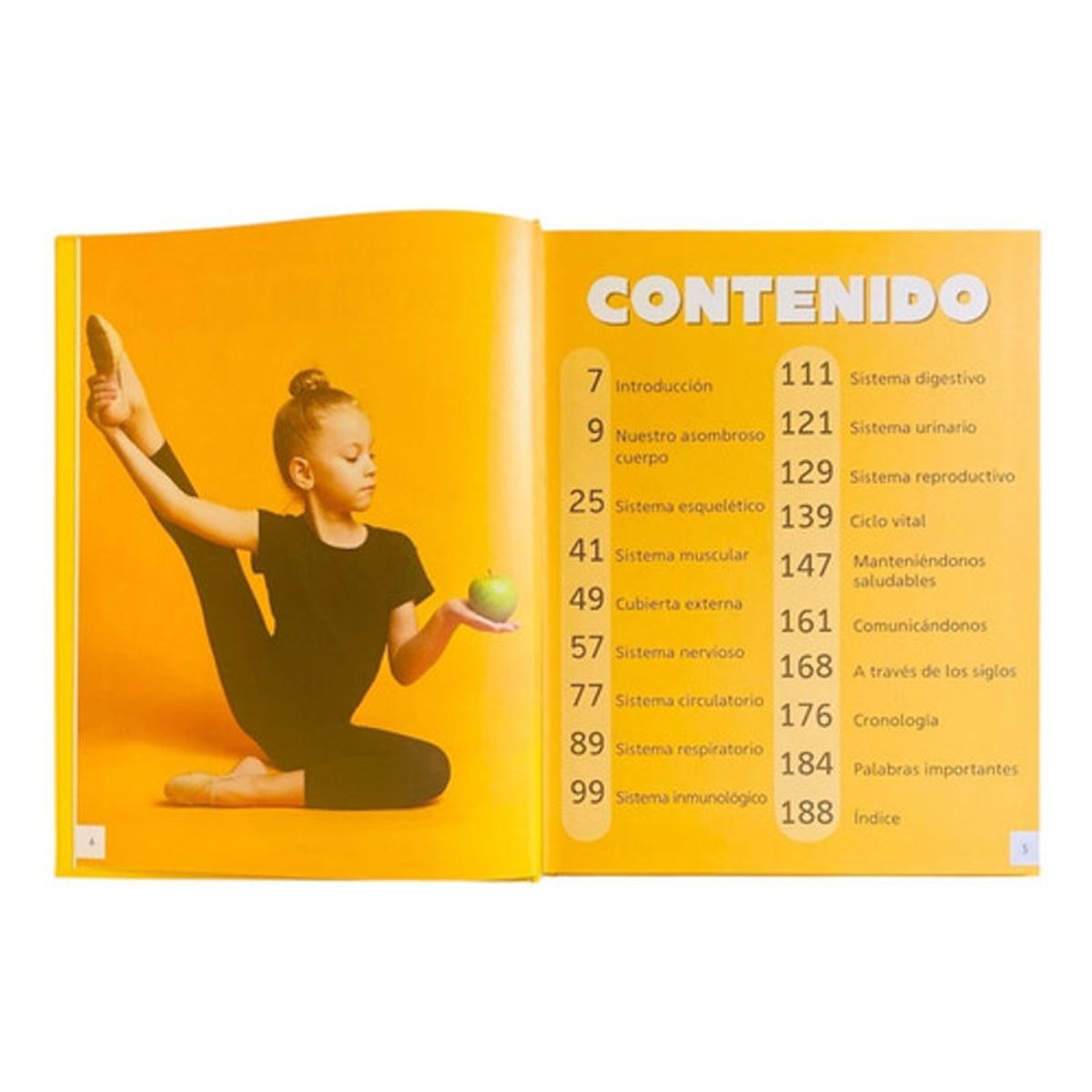 GENERICO - Libro La Enciclopedia Infantil Del Cuerpo Humano - Lexus