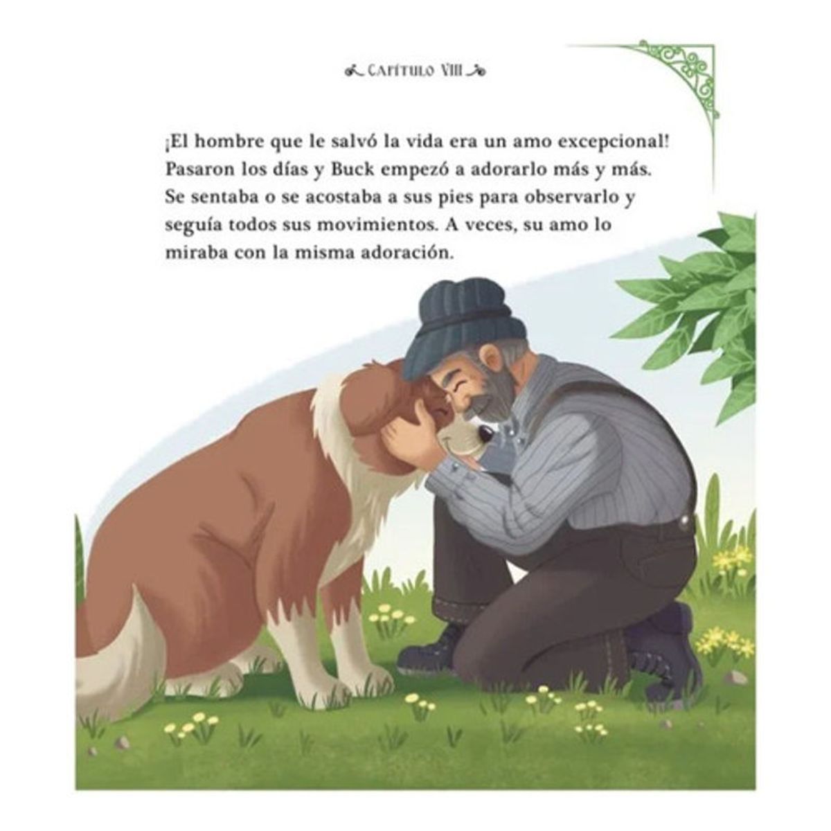 GENERICO - Libro La Llamada De Lo Salvaje - Clasicos Juveniles - Lexus