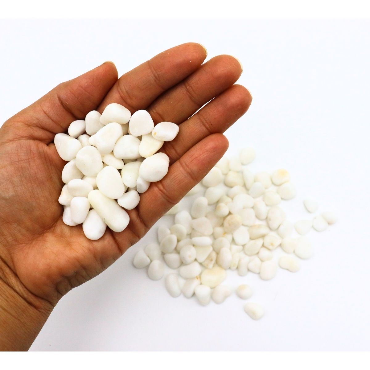 GENERICO - Gravilla Blanca Para Acuarios 2kg Decoración